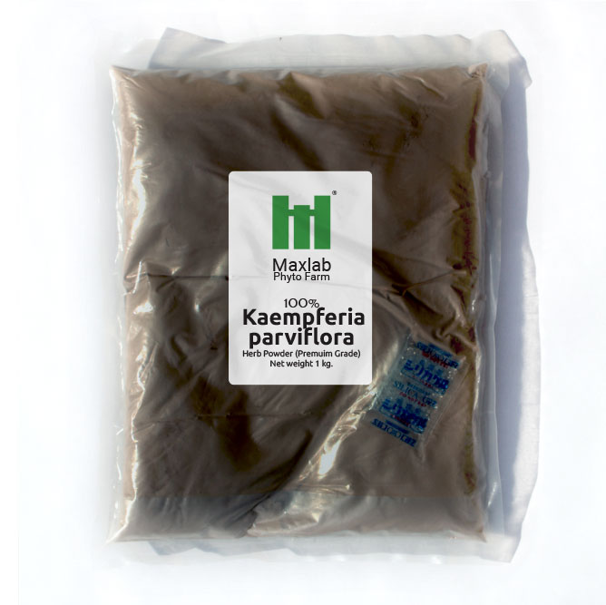 Kaempferia parviflora Powder 1 KG